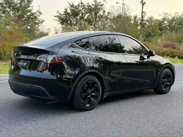 Tesla Model Y — Фото автомобиля 4