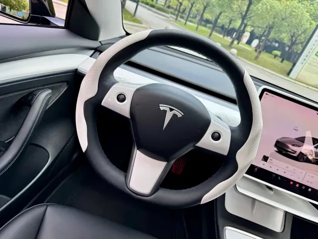 Tesla Model 3 — Фото автомобиля 12