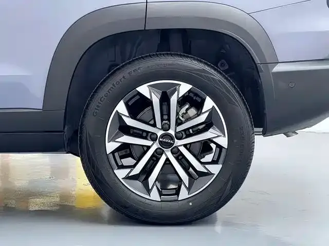 Haval Big Dog — Фото автомобиля 15