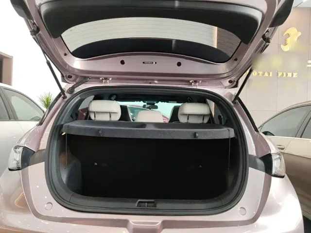 BYD Dolphin — Фото автомобиля 18