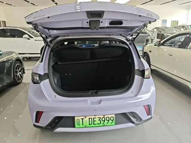 BYD Dolphin — Фото автомобиля 18