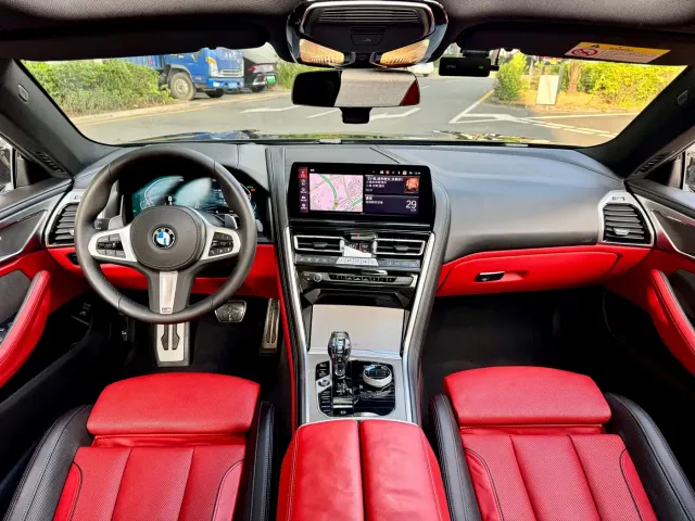 BMW 8 Series — Фото автомобиля 10