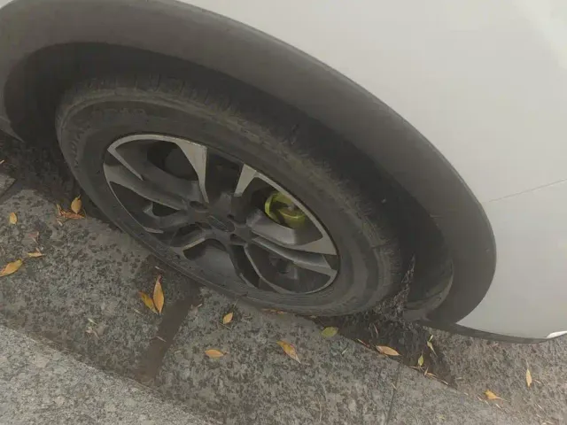 Geely Geometry EX3 Kung Fu Bull — Фото автомобиля 6