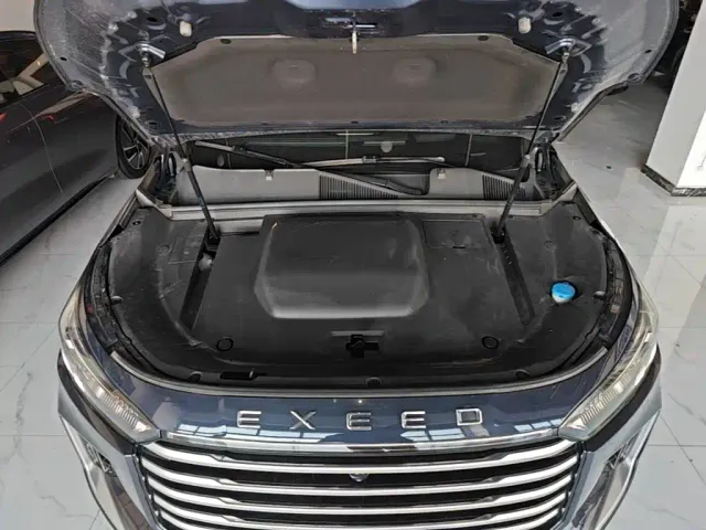 Exeed Landmark C-DM — Фото автомобиля 19