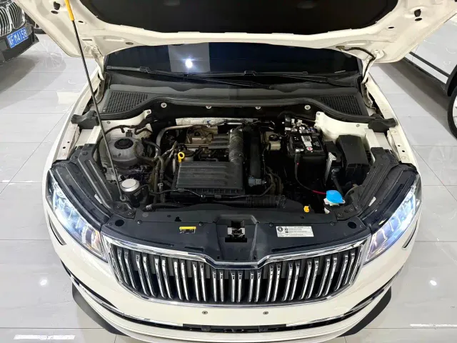 Skoda Karoq — Фото автомобиля 17