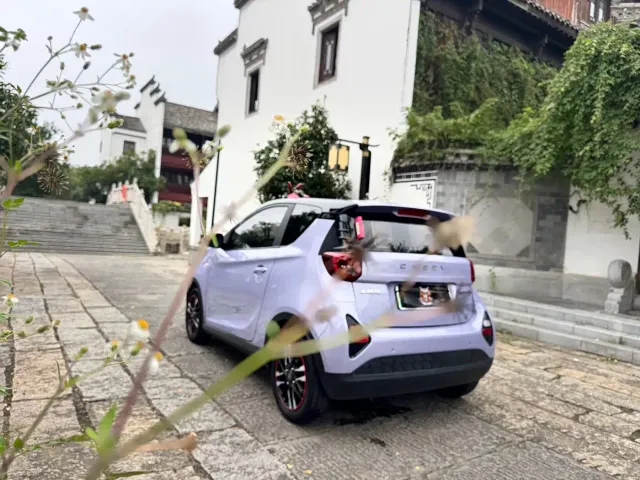 Chery eQ1 — Фото автомобиля 7