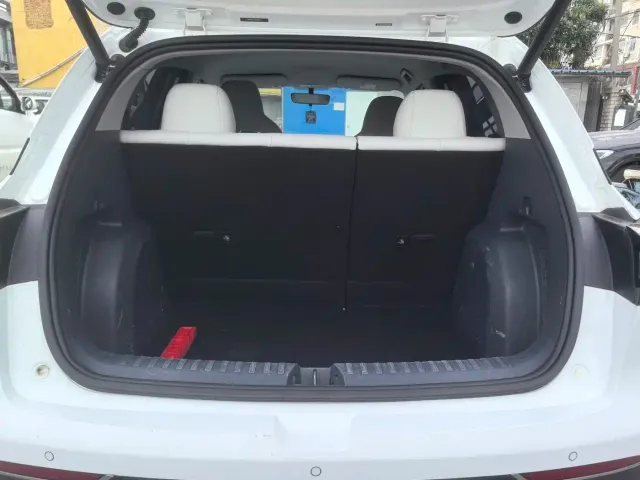 Geely Starry Wish — Фото автомобиля 9