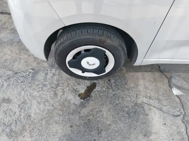 Wuling Hongguang Mini EV — Фото автомобиля 22