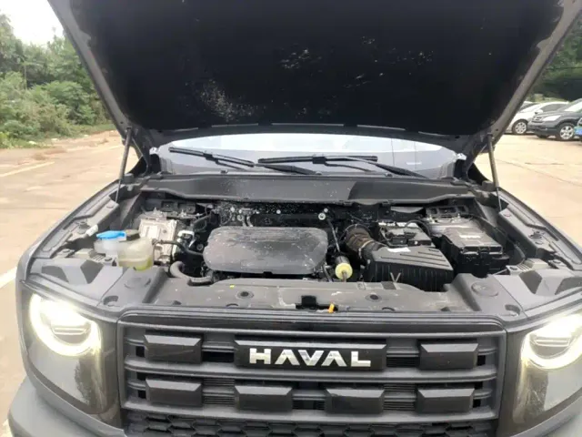 Haval Big Dog — Фото автомобиля 19