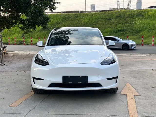 Tesla Model Y — Фото автомобиля 3