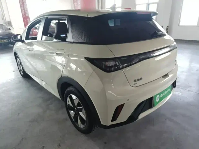 BYD Dolphin — Фото автомобиля 4