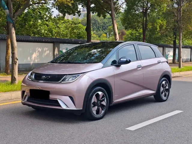 Фотография автомобиля — BYD Dolphin