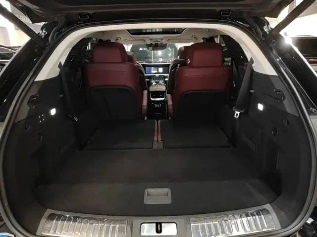 Hongqi E-HS9 — Фото автомобиля 18