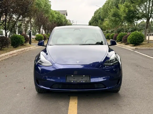 Tesla Model Y — Фото автомобиля 3