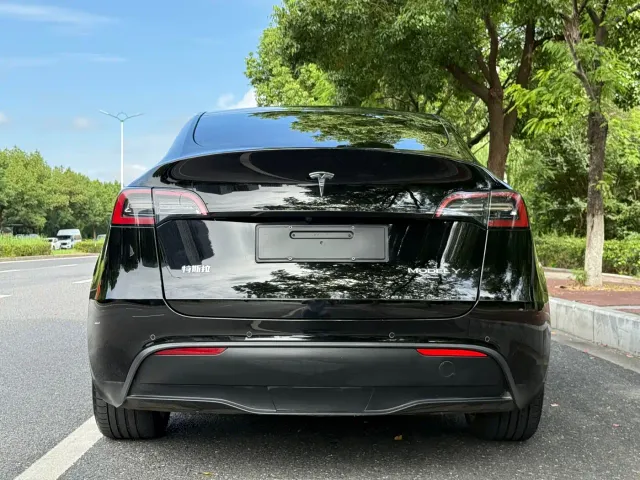 Tesla Model Y — Фото автомобиля 4