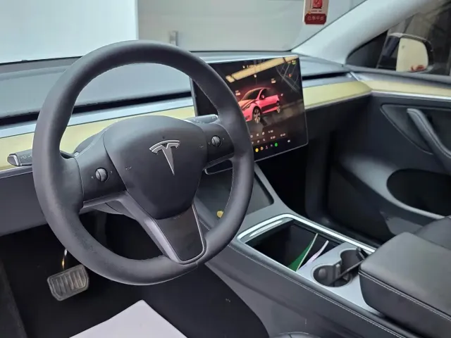 Tesla Model Y — Фото автомобиля 11