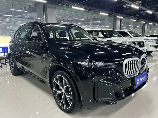 BMW X5 — Фото автомобиля 11