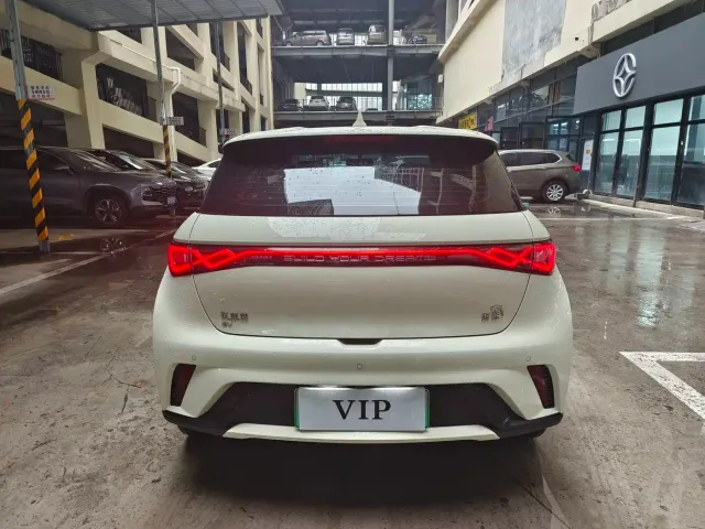 BYD Dolphin — Фото автомобиля 14