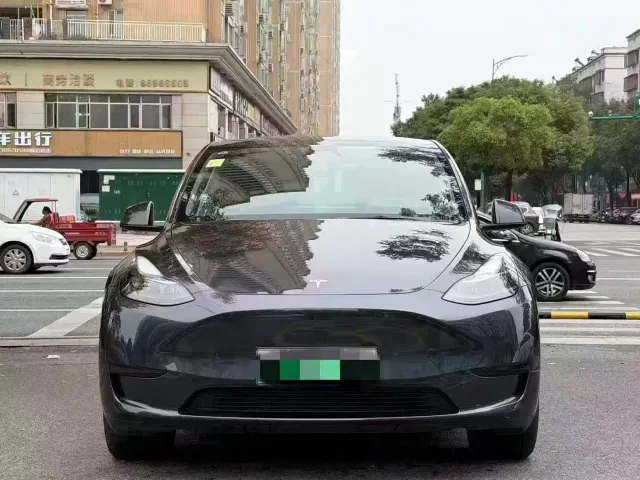 Tesla Model Y — Фото автомобиля 3