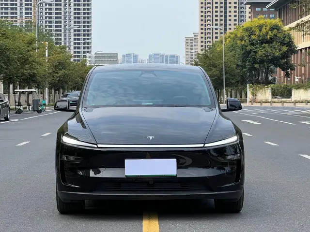 Tesla Model Y — Фото автомобиля 2