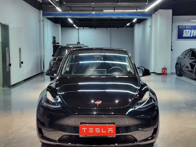 Tesla Model Y — Фото автомобиля 2