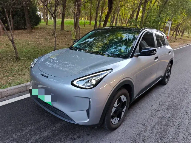 Фотография автомобиля — Geely Starry Wish