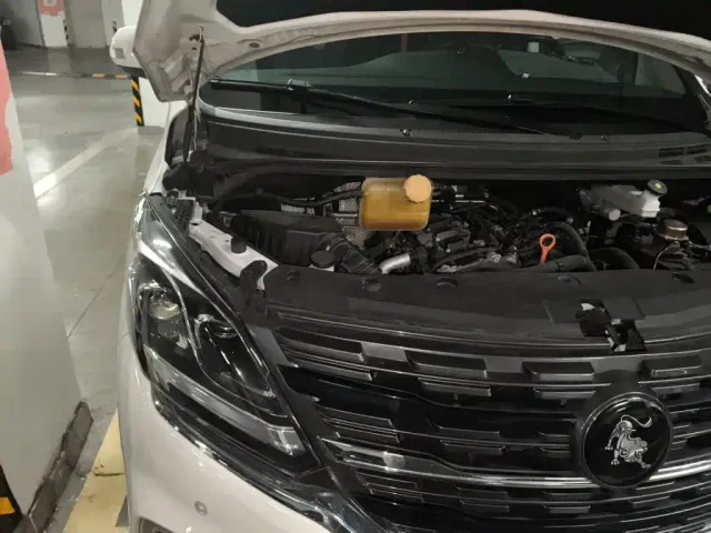 Forthing Fengxing M7 — Фото автомобиля 18