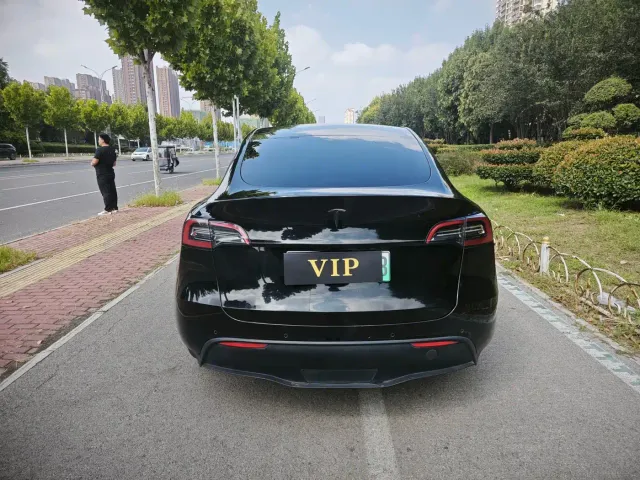 Tesla Model Y — Фото автомобиля 11