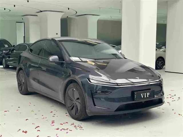 Tesla Model Y — Фото автомобиля 3