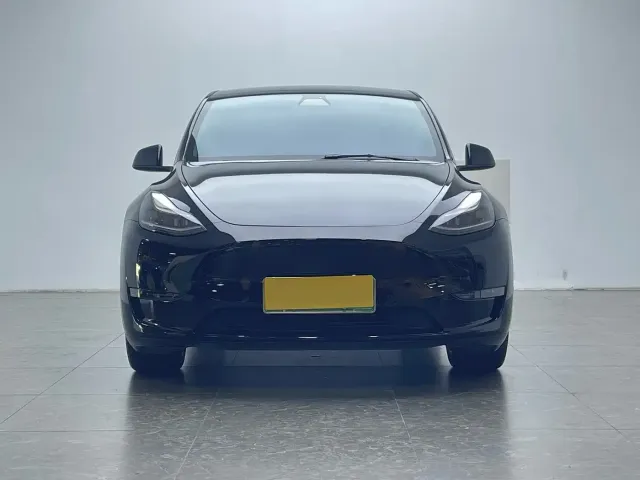 Tesla Model Y — Фото автомобиля 2
