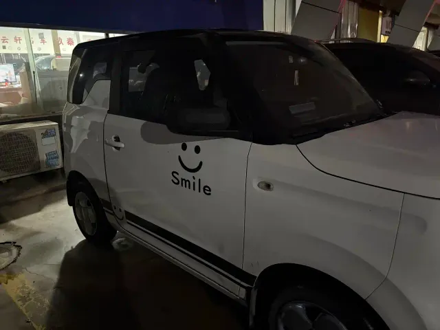 Geely Panda — Фото автомобиля 9