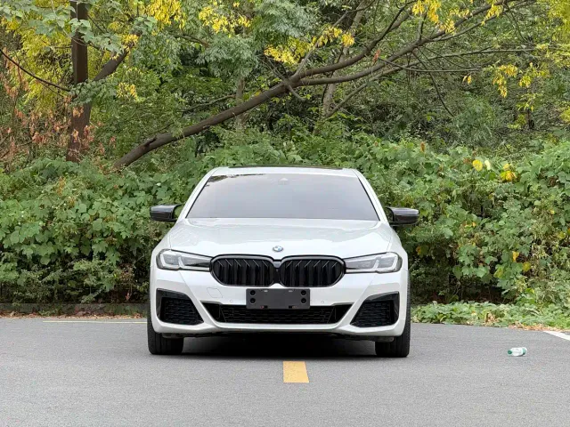 BMW 5 Series — Фото автомобиля 2