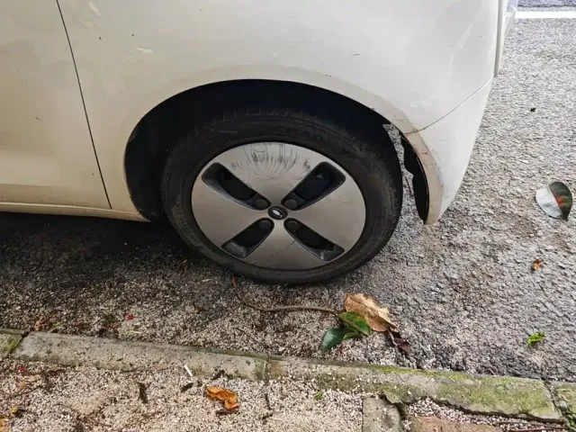 Ora Ora Black Cat 2021 301km Pet Edition — Фото автомобиля 9