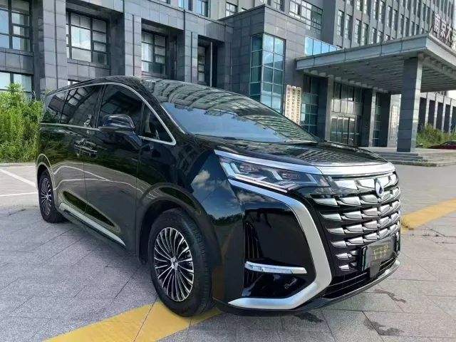 Фотография автомобиля — Denza D9