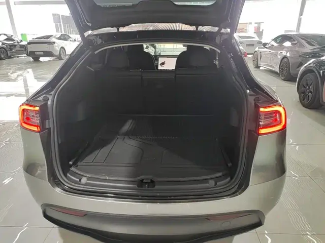 Tesla Model Y — Фото автомобиля 18