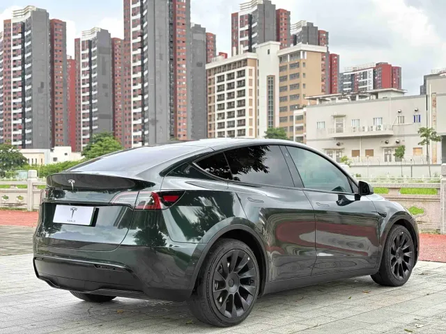 Tesla Model Y — Фото автомобиля 9