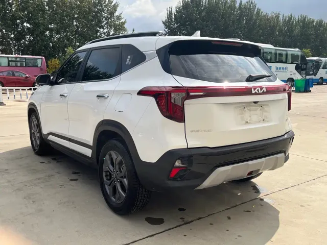 Kia Seltos — Фото автомобиля 8