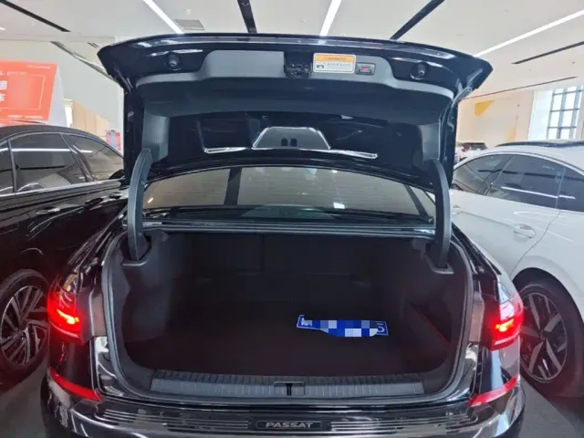 Volkswagen Passat — Фото автомобиля 18