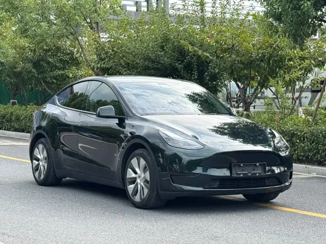 Tesla Model Y — Фото автомобиля 15
