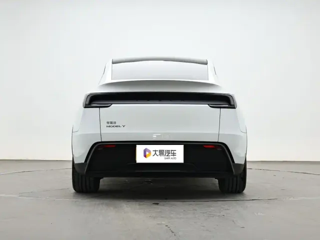 Tesla Model Y — Фото автомобиля 4