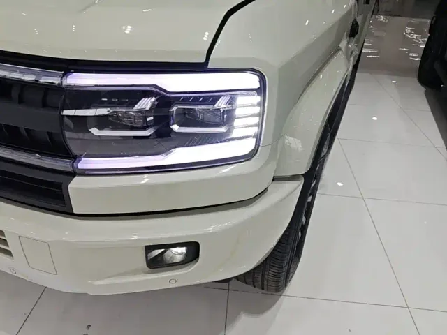 BYD FangChengBao Leopard 5 — Фото автомобиля 23