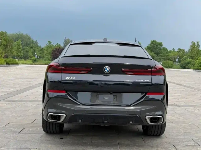 BMW BMW X6 2023 xDrive30i M Sport Package — Фото автомобиля 6