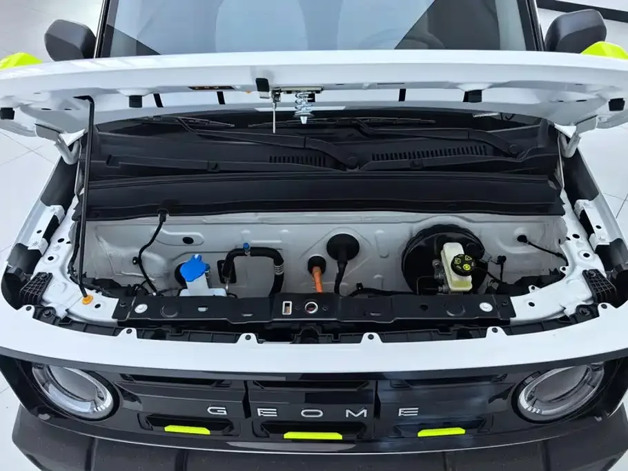 Geely Galaxy Panda 2025 Model Year 210km Panda Knight — Фото автомобиля 10