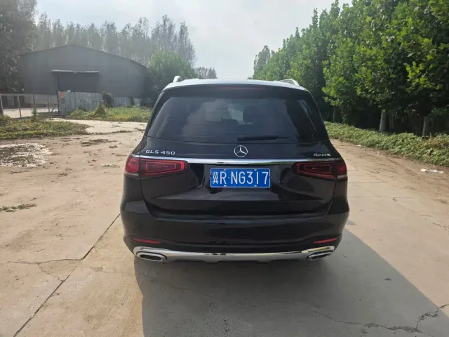 Mercedes-Benz GLS-Class — Фото автомобиля 5