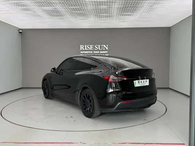 Tesla Model Y — Фото автомобиля 13