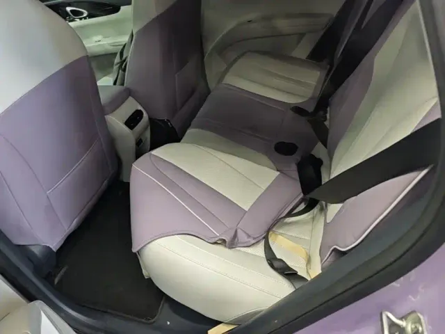 Geely Starry Wish — Фото автомобиля 12