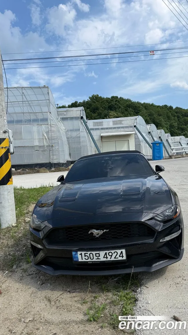 Ford Mustang — Фото автомобиля 3