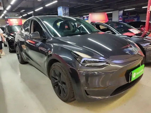 Tesla Model Y — Фото автомобиля 3