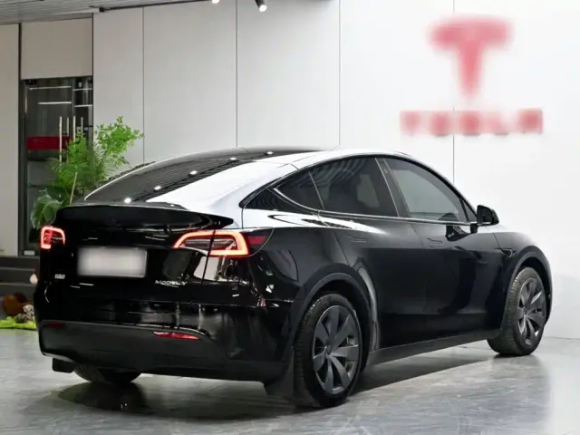 Tesla Model Y — Фото автомобиля 6