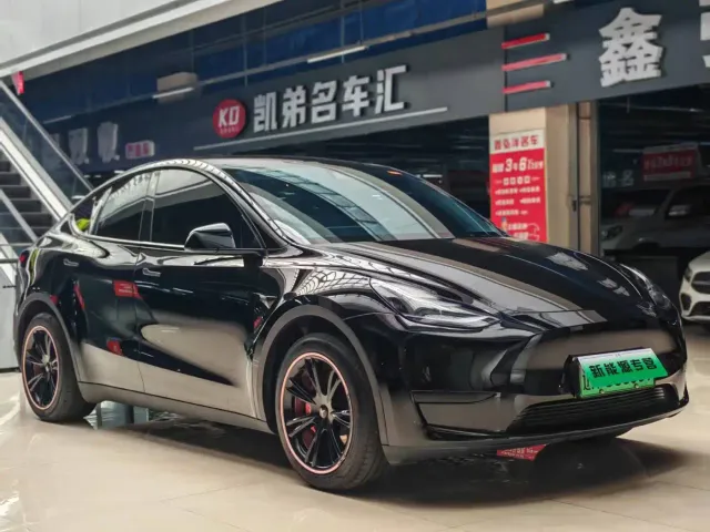 Tesla Model Y — Фото автомобиля 2
